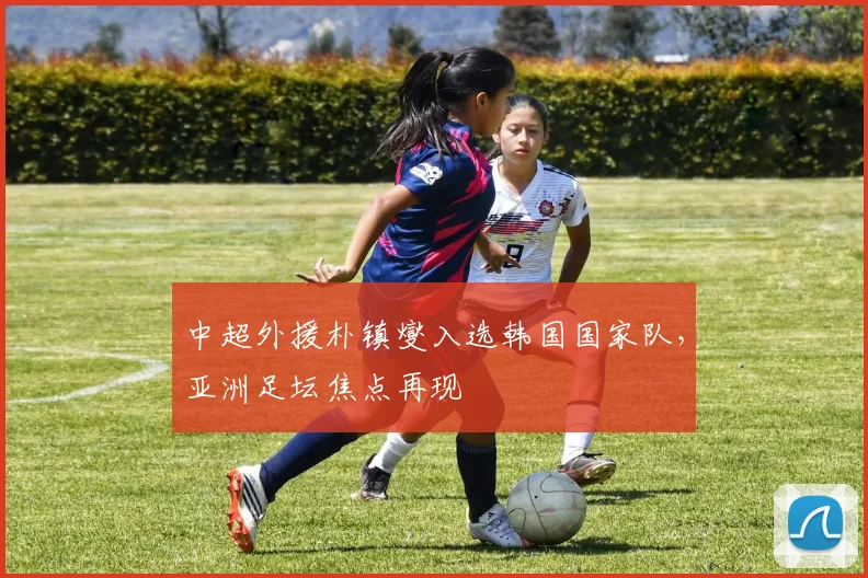 中超外援朴镇燮入选韩国国家队，亚洲足坛焦点再现