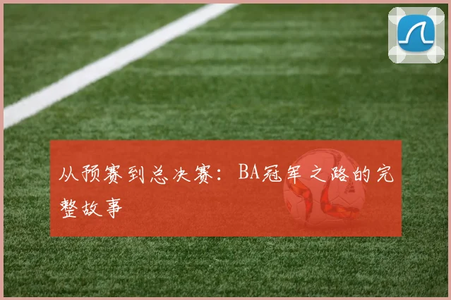 从预赛到总决赛：BA冠军之路的完整故事