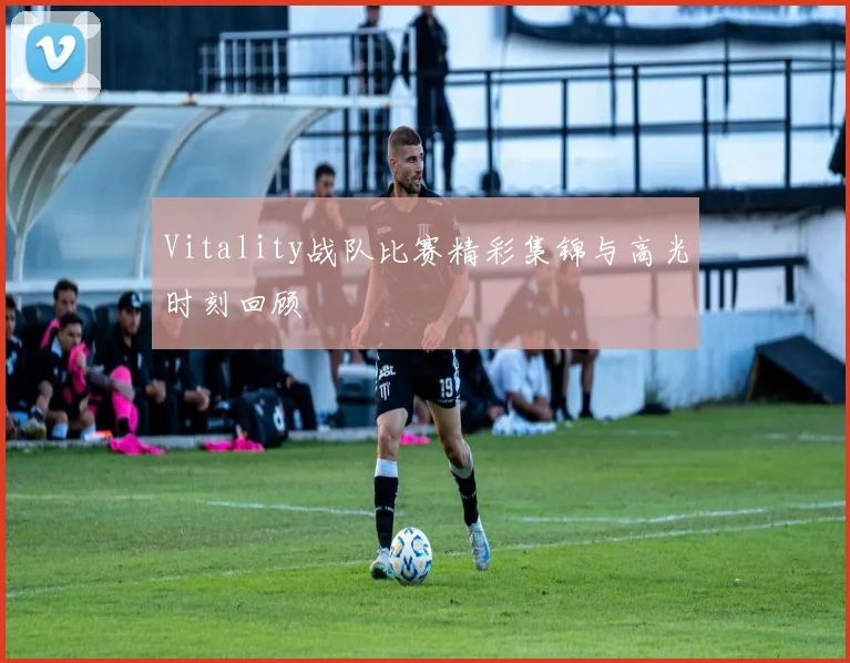 Vitality战队比赛精彩集锦与高光时刻回顾